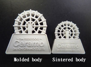 Left: Molded body / Right: Sintered body